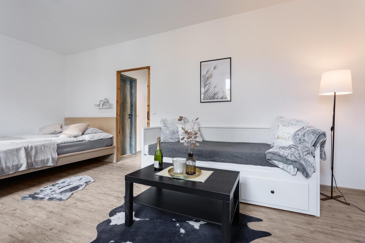 Apartmany Vlevo&Dole Рокитнице над Ийзероу Екстериор снимка