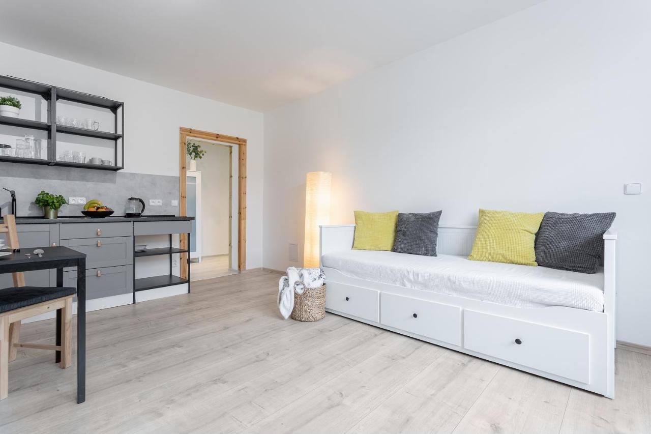 Apartmany Vlevo&Dole Рокитнице над Ийзероу Екстериор снимка