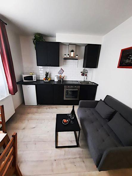 Apartmany Vlevo&Dole Рокитнице над Ийзероу Екстериор снимка